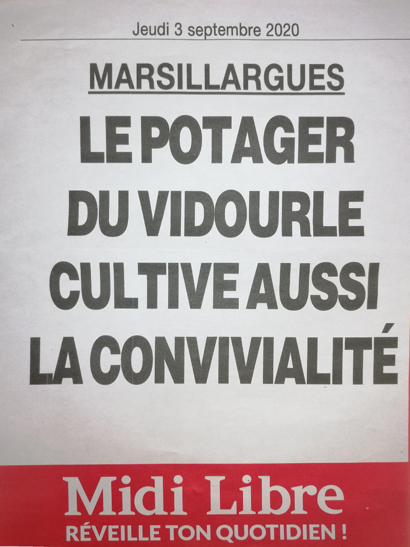 Le potager du vidourle cultive variétés anciennes et convivialité !