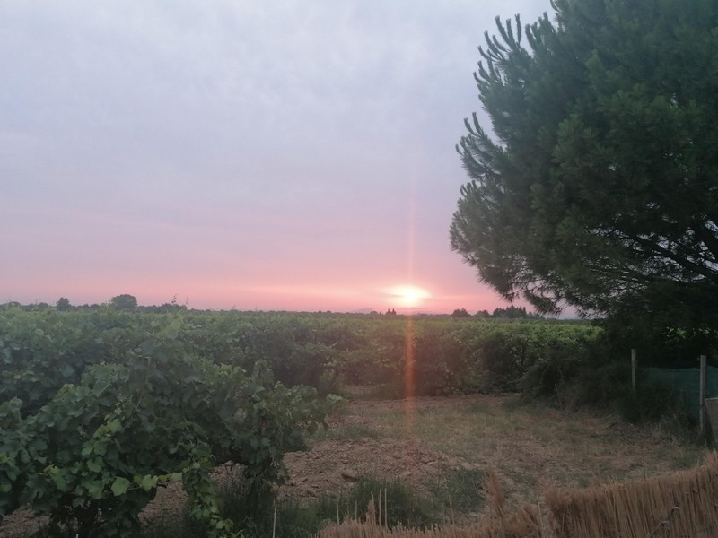 Potager du vidourle cadre sublime