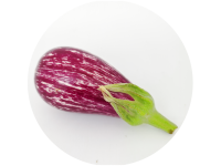 aubergine_1