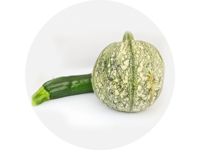 courgette_1