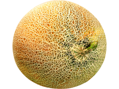 melon