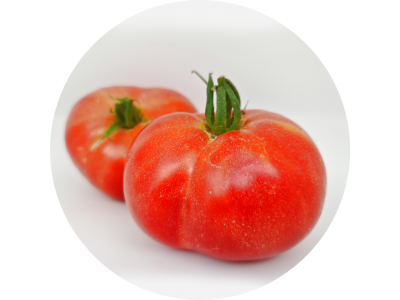 tomates_de_berne_3