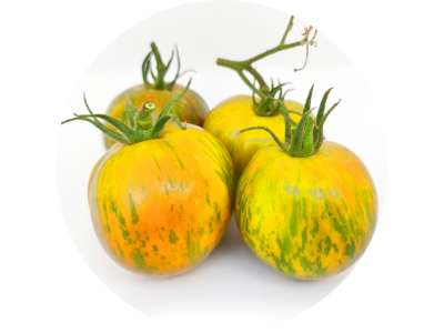 tomates_green_zebra_1