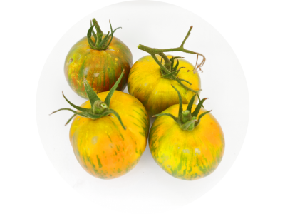 tomates_green_zebra_2